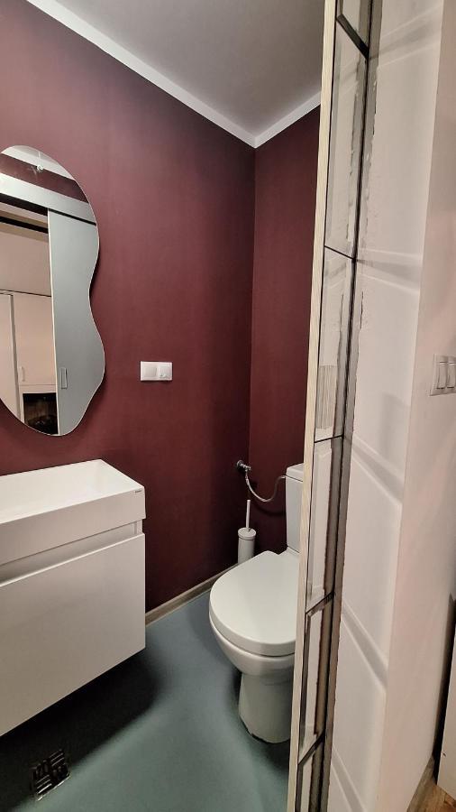 Swanhome - Central Apartment Cluj-Napoca Esterno foto