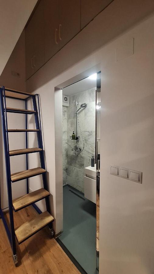 Swanhome - Central Apartment Cluj-Napoca Esterno foto